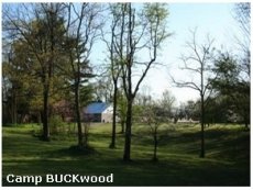 Camp Buckwood Camp Buckwood