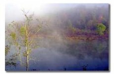 Salt Fork State Park