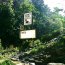 Smoky Bear Campground 