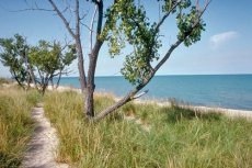Indiana Dunes State Park Indiana Dunes State Park