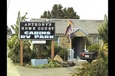 Anthonys Home Court Anthonys Home Court