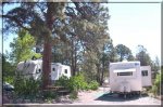 Flagstaff KOA - Pride in the Pines and More