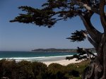 Carmel by the River RV Park