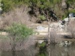 Folsom Lake State Park Beals point campground