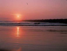 Winchester Bay RV Resort