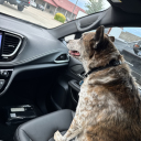 Azminivan
