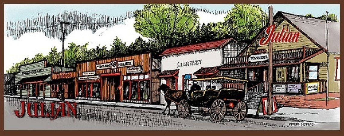 CA Julian at Pinezanita Rally 2026