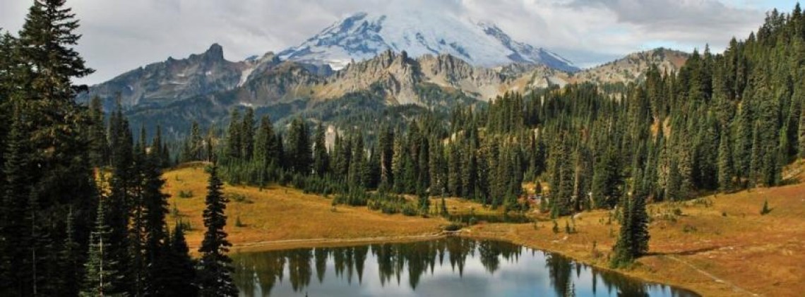 Washington