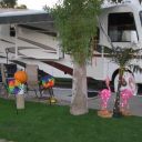 Palm Springs Resort & Parade 2013