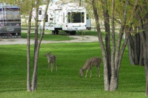 Deer Park Campground