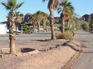 The Oasis RV Park at Aztec Hill